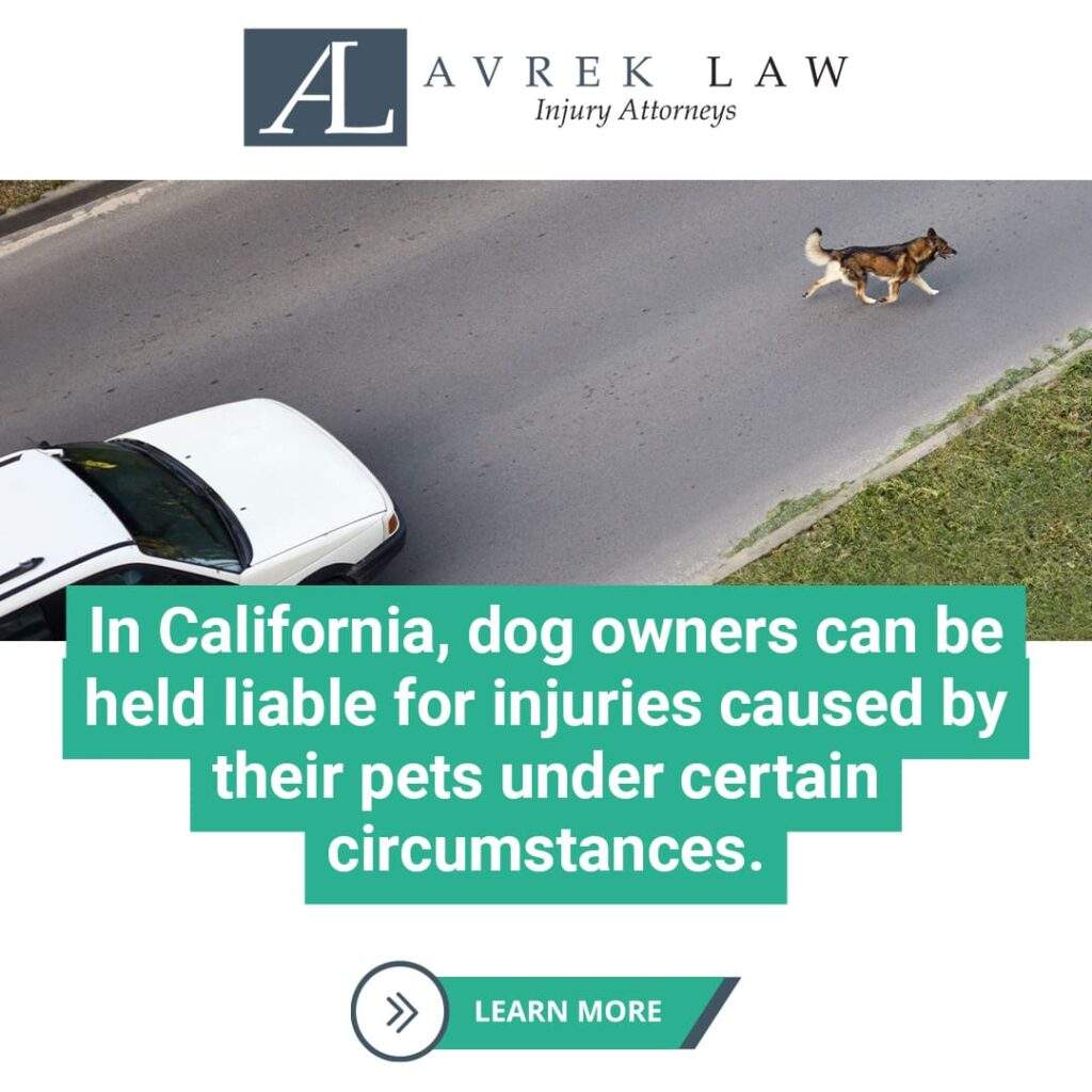 Featured image for Cyclists and Dog Attacks: What Are Your Legal Options? – Insights by Newport Beach Bicycle Accident Lawyers